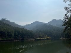 -黄陂区野村谷景区