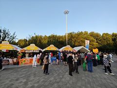 -朝阳公园游乐园