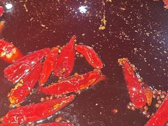 -大龙火锅(老店)