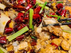 -老板恋上鱼(印象城店)