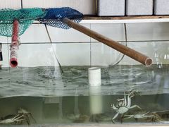 -蟹天蟹地农家菜·阳澄湖大闸蟹(浅水湾店)