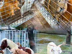 -蓝地时尚庄园(北京清河营地铁站店)