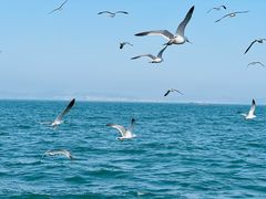 -大连海昌东方水城
