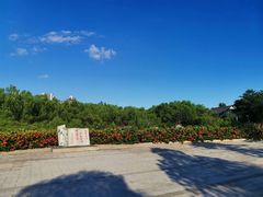 -大亚湾红树林城市湿地公园
