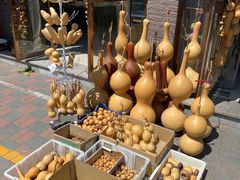 -中环花鸟鱼虫市场