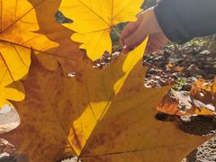 -终南山南五台景区