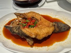 -侨美食家·40年地道粤菜(珠江新城店)