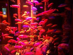 -沈阳海洋探索中心