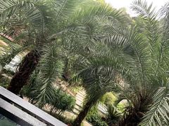 -汇雅温泉
