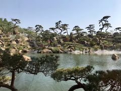 -罗红摄影艺术馆