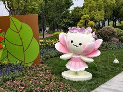 -春花秋色城市公园