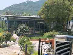 -蘇河湾·新鲁菜·泰山宴(泰山店)