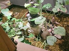 -邈墨茶馆(凤起路店)