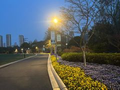 -青枫公园