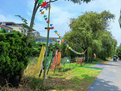 -日照海滨国家森林公园