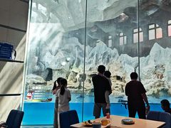 -帝企鹅自助餐厅•儿童岛•真企鹅(长隆企鹅酒店)