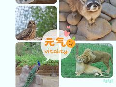 -北京野生动物园