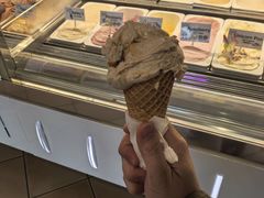 -Dooley's Premium Ice Cream