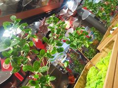 -新辣道鱼火锅(领展购物广场·中关村店)