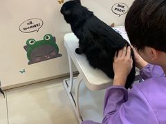 -全心全意连锁动物医院·微创中心·内科急重症·心脏专科(丰管路店)