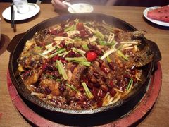 -老板恋上鱼(恒隆广场店)