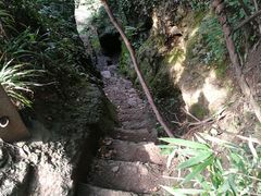-树山生态村