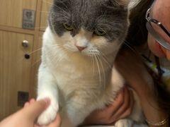 -MOCHA明星猫咖(田子坊店)