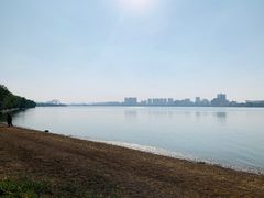 -艾溪湖湿地公园