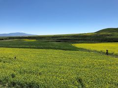 -扁都口生态休闲旅游区