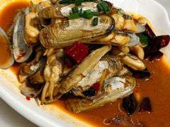 蛏子-华盛丰温州大排档(东三环南路店)