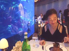 -迪拜帆船酒店海底餐厅