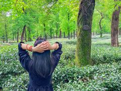 -野蔓果·山野菜(西湖景区·龙井茶田店)