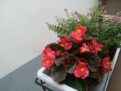 android_upload_pic-旺福楼(钱家坞总店)