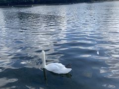 -海德公园