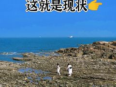-巧克力渔家.小船海鲜胶东菜(万平口店)