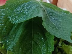-名家韩国料理·烤肉(瑶海店)