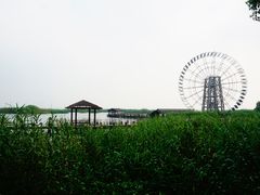 -太湖湖滨国家湿地公园-停车场