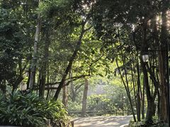-七仙岭君澜度假酒店
