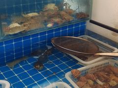 -锅老头铁锅炖•大锅蒸汽海鲜(韩乐坊店)