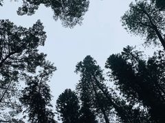 -华南国家植物园-售票处