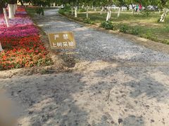 -御林古桑园