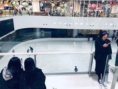 -TheRink大零溜冰场(IFS国金中心店)