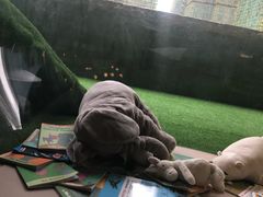 -NOKNOK若蔻亲子餐厅(天地壹方北馆店)