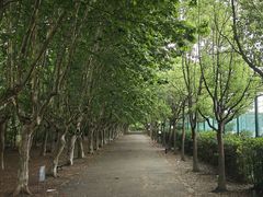 -华东政法大学(松江校区)