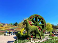 -沈阳植物园