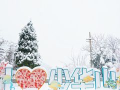 -少华山国家森林公园