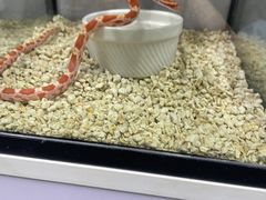 -三旗百汇商品城