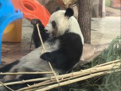 -祥源·阜阳生态乐园