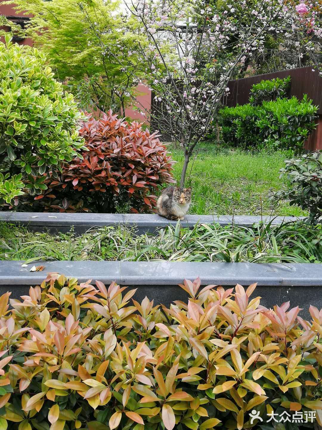 阳光明媚的日子，在小区里抬头看看蓝天白云