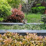 阳光明媚的日子，在小区里抬头看看蓝天白云